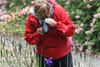 Mary photographing iris - 2